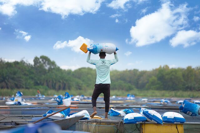 Small-Aqua_tilapia_carrying bag_feed_pond.jpg